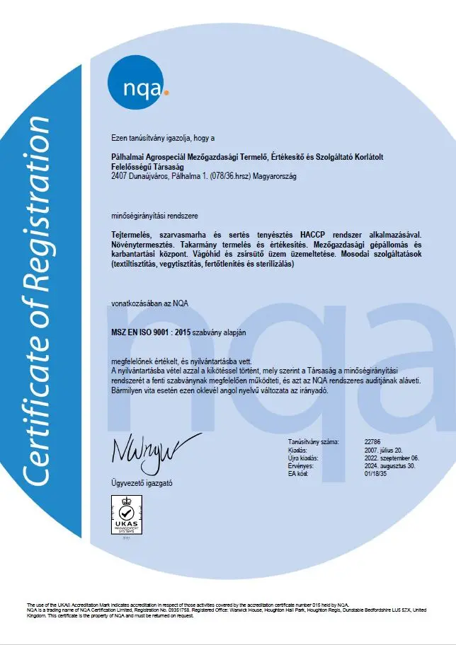 MSZ EN ISO 9001:2015 tan&uacute;s&iacute;tv&aacute;ny