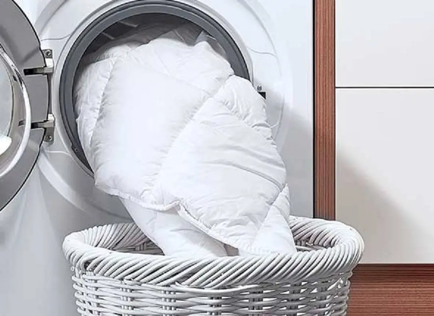 Szabad piaci &eacute;rt&eacute;kes&iacute;tett term&eacute;kek